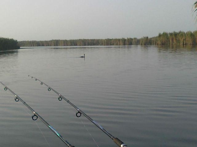 Delta forever - 24092011980.jpg